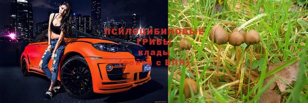 дурь Балахна